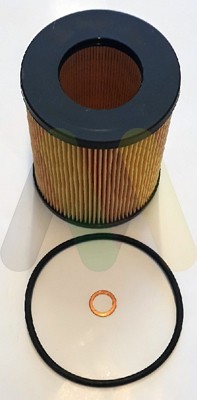 MOTAQUIP VFL385 Filtru ulei foto