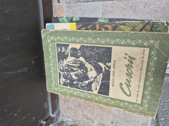 Cuscrii vintage