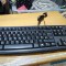 Tastatur PC Logitech K120 Usb german #A7352