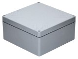 Carcasă universală RAYCHEM RPG 250mm x 255mm x 120mm poliester gri