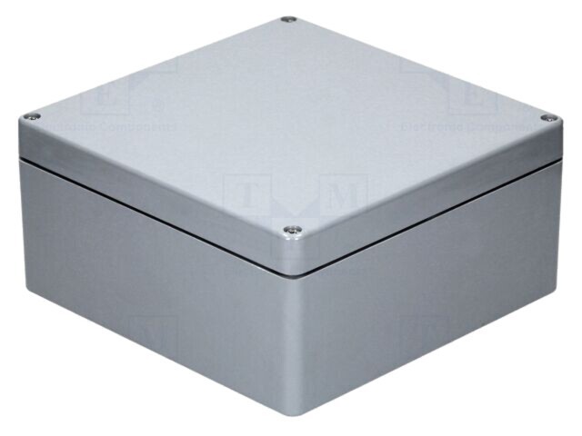 Carcasă universală RAYCHEM RPG 250mm x 255mm x 120mm poliester gri
