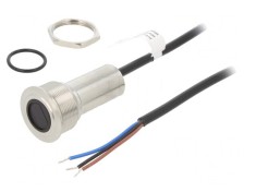Comutator Anti-Vandalism SPST-NO 24V 300mA IP65