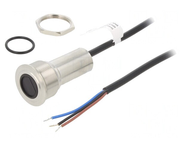 Comutator Anti-Vandalism SPST-NO 24V 300mA IP65
