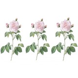 Sticker decorativ Trandafir Rosa Centifolia, Roz, 50 cm, 1175ST