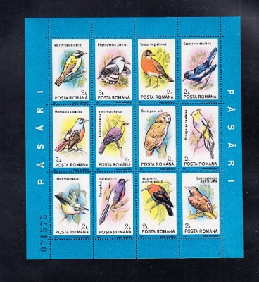 A11 TX1 7 - 1991 - Pasari - blocuri foto