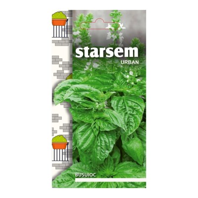 Seminte legume Starsem, busuioc foto