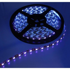 UV Ultraviolet 12V Led Strip 60LED IP65 SMD3528 Lungime 5 metri foto