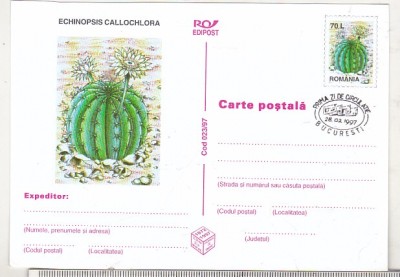 bnk cp Cactusi - necirculata - marca fixa - stampila prima zi - 023/97 foto