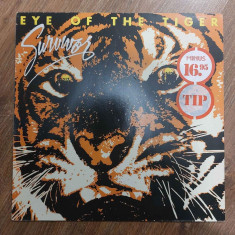Survivor - Eye of the Tiger (vinil, vinyl, album, LP)