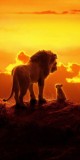 Husa Personalizata ALLVIEW A5 Easy Lion King