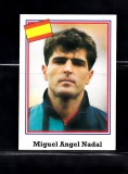 B10 - Sticker fotbal - Campionatul mondial USA - 1994 - nr 196