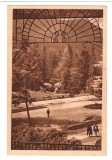 CPI B13829 CARTE POSTALA - TUSNAD. PARCUL, RPR, Necirculata, Fotografie