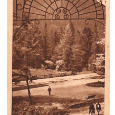 CPI B13829 CARTE POSTALA - TUSNAD. PARCUL, RPR