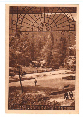 CPI B13829 CARTE POSTALA - TUSNAD. PARCUL, RPR foto