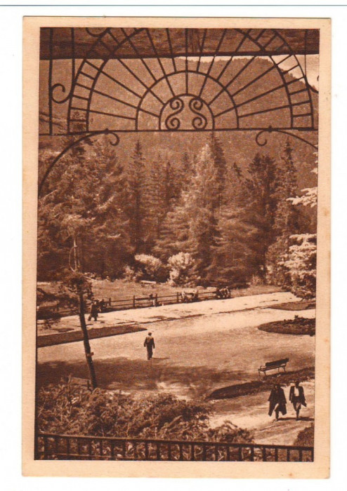 CPI B13829 CARTE POSTALA - TUSNAD. PARCUL, RPR