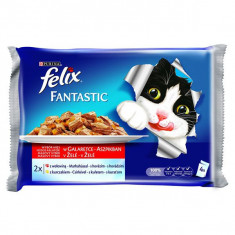 Punga FELIX Fantastic - carne de vita ?i de pui in gelatina, 400 g foto