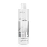 Solutie pentru indepartarea vopselei de par G03 200ml, Erayba