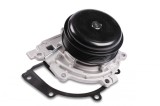 HEPU P1579A Pompă de apă, răcire motor