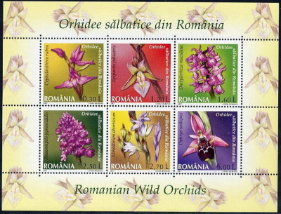 ROMANIA 2007 ORHIDEE SALBATICE- BLOC cu 6 timbre LP.1758f MNH** foto