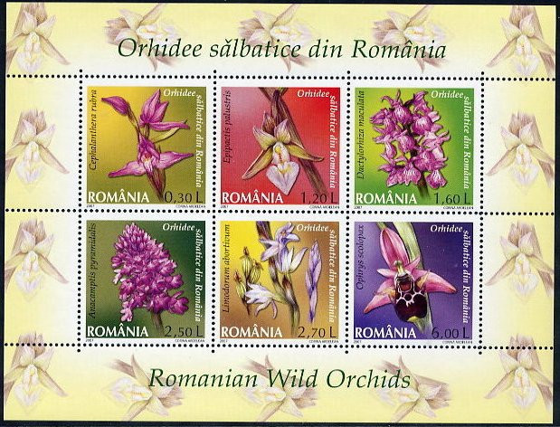 ROMANIA 2007 ORHIDEE SALBATICE- BLOC cu 6 timbre LP.1758f MNH**