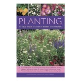 Planting for Visual Impact &amp; Scent in Borders &amp; Containers