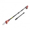 Fierastrau electric cu lant Raider Garden, Telescopic 100-300 cm, 20 V, 2 Ah