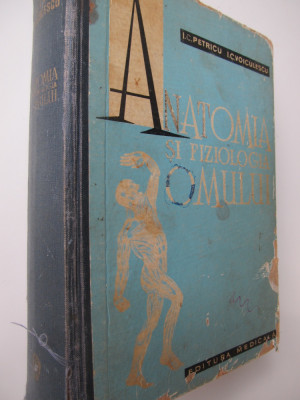 Anatomia si fiziologia omului - I.C. Petricu , I.C. Voiculescu foto