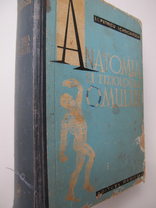 Anatomia si fiziologia omului - I.C. Petricu , I.C. Voiculescu