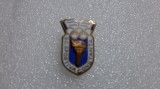 Insigna Sc. Sp. Constanta