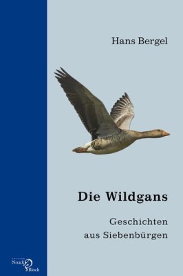 Die Wildgans foto