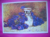 HOPCT 11648 ALBASTRELE -STEFAN LUCHIAN-FLORI -CP PICTURA - ROMANIA-NECIRCULATA