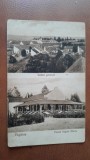 Carte postala, Fagaras inceput de secol XX