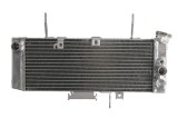 Cumpara ieftin Radiator pentru SUZUKI SV 650 2003-2004