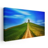 Tablou peisaj drum de tara dealuri Tablou canvas pe panza CU RAMA 70x140 cm