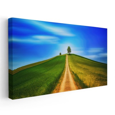Tablou peisaj drum de tara dealuri Tablou canvas pe panza CU RAMA 30x60 cm foto