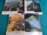 LOT 6 REVISTA PĂDURILOR / NR. 4,5,6,8,9,11 *1968*