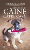 Drumul unui caine catre casa Vol. 2 W. Bruce Cameron Carti Fictiune Paperback brosat