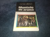 ELENA MATASA - MUNTELE DE ARAMA