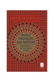 Noile drumuri ale mătăsii. Prezentul și viitorul lumii - Paperback brosat - Peter Frankopan - Trei