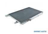 Radiator clima Mercedes A-Class (2004-2012) [W169] #1