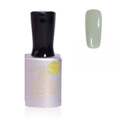Oja semipermanenta Premium 15 ml, 040 foto