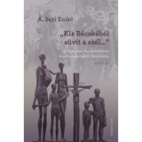 &quot;Kis-B&aacute;csk&aacute;b&oacute;l s&uuml;v&iacute;t a sz&eacute;l...&quot; - &Ouml;sszeoml&aacute;s, hatalom&aacute;tv&eacute;tel, kisebbs&eacute;gpolitika a D&eacute;lvid&eacute;ken 1918-1947 - A. Sajti Enikő