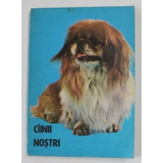 CAINII NOSTRI , BULETIN DOCUMNENTAR , AUGUST 1984 de ZOE DUMITRESCU - BUSULENGA ...MIRCEA IONESCU , APARUTA 1984