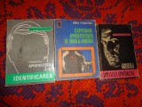 Horia Tecuceanu -Capitanul Apostolescu si dubla enigma, Identificarea , Greseala