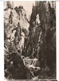 CPIB 22192 - CARTE POSTALA - MUNTII BUCEGI. CHEILE ORZEI