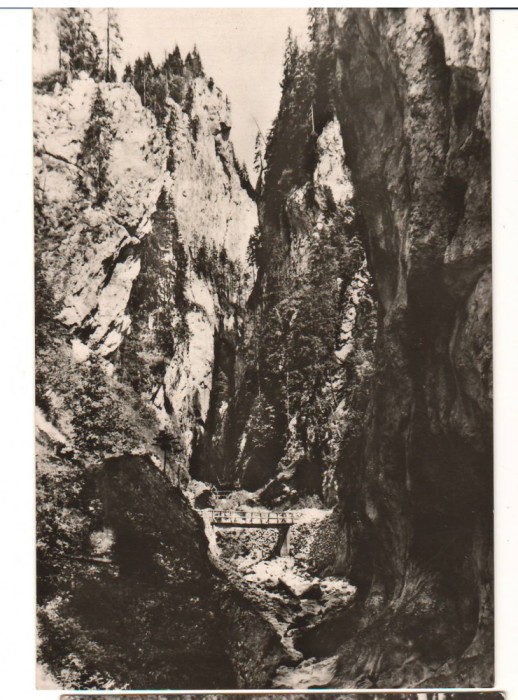 CPIB 22192 - CARTE POSTALA - MUNTII BUCEGI. CHEILE ORZEI