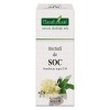Tinctura Soc 50ml PlantExtrakt