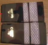 C3 - Grade militare - mozaic padure - sergent major tancuri