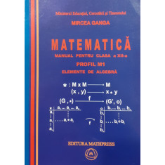 Matematica Manual pentru clasa a XII-a Profil M1 Elemente de algebra