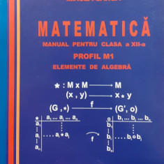 Matematica Manual pentru clasa a XII-a Profil M1 Elemente de algebra